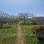 Продажа 3 комнатная Дача, Новханы, Абшерон район 15