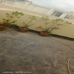 Kirayə (aylıq) 1 otaqlı Yeni Tikili, Elmlər akademiyası metrosu, Yasamal rayonu 5