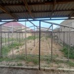 Satılır Torpaq, Maştağa qəs., Sabunçu rayonu 3