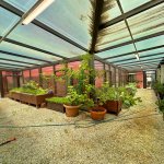 Satılır 6 otaqlı Bağ evi, Mərdəkan, Xəzər rayonu 6