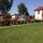 Satılır 5 otaqlı Həyət evi/villa Xaçmaz / Xudat 10