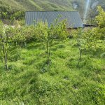 Satılır 6 otaqlı Həyət evi/villa Xızı 5