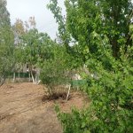 Kirayə (aylıq) 5 otaqlı Bağ evi, Türkan, Xəzər rayonu 6