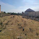 Satılır Torpaq, Maştağa qəs., Sabunçu rayonu 5