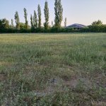 Satılır Torpaq Şəki 5