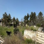 Satılır Torpaq, Mərdəkan, Xəzər rayonu 8
