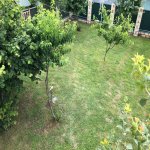 Kirayə (günlük) 2 otaqlı Həyət evi/villa Qəbələ 24