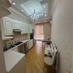 Аренда 2 комнатная Новостройка, м. 28 Мая метро, Насими район 5