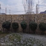 Satılır 3 otaqlı Həyət evi/villa, Azadlıq metrosu, Binəqədi rayonu 3