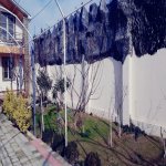 Kirayə (günlük) 4 otaqlı Bağ evi, Novxanı, Abşeron rayonu 17