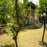 Kirayə (günlük) 4 otaqlı Həyət evi/villa Şəki 5