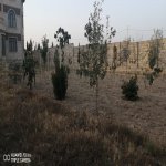 Satılır 14 otaqlı Bağ evi, Novxanı, Abşeron rayonu 15