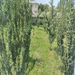 Посуточно 6 комнат Дача Губа 15