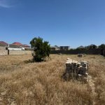 Satılır Torpaq, Buzovna, Xəzər rayonu 2