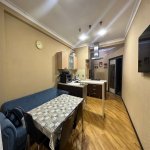 Продажа 4 комнатная Новостройка, м. 20 Января метро, Насими район 14