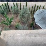 Kirayə (aylıq) 8 otaqlı Həyət evi/villa, Badamdar qəs., Səbail rayonu 15
