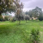 Kirayə (aylıq) 3 otaqlı Həyət evi/villa, Nizami metrosu, Yasamal rayonu 11