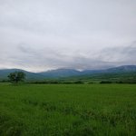 Satılır Torpaq İsmayıllı 9