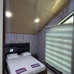 Kirayə (günlük) 4 otaqlı Bağ evi Qəbələ 6