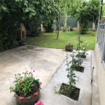 Kirayə (günlük) 2 otaqlı Həyət evi/villa Qəbələ 21