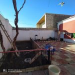 Продажа 3 комнат Дома/Виллы, м. Короглу метро, пос. Маштага, Сабунчу район 27