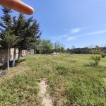Продажа Участок, пос. Нардаран, Сабунчу район 2