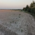 Satılır Torpaq Qəbələ 4