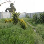 Satılır 3 otaqlı Bağ evi, Buzovna, Xəzər rayonu 29