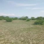 Satılır Torpaq Qəbələ 15