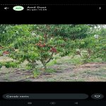 Продажа Участок Хачмаз 6