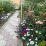 Satılır 9 otaqlı Həyət evi/villa, Novxanı, Abşeron rayonu 17