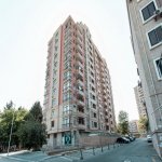 Kirayə (aylıq) 2 otaqlı Yeni Tikili, Gənclik metrosu, Nərimanov rayonu 17