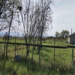 Продажа Участок Хачмаз 24