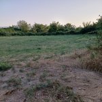 Satılır Torpaq Şəki 19