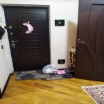Satılır 2 otaqlı Yeni Tikili Xırdalan 3