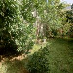 Satılır 3 otaqlı Həyət evi/villa, Avtovağzal metrosu, Biləcəri qəs., Binəqədi rayonu 15