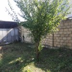 Satılır Torpaq Quba 4