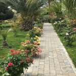 Kirayə (aylıq) 10 otaqlı Bağ evi, Mərdəkan, Xəzər rayonu 9