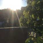Satılır Torpaq, Mərdəkan, Xəzər rayonu 15