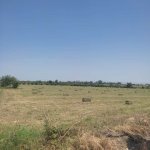 Satılır Torpaq Ağstafa 6