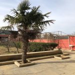 Продажа 6 комнат Дома/Виллы, м. 20 Января метро, Масазыр, Абшерон район 7