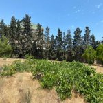 Satılır Torpaq, Mərdəkan, Xəzər rayonu 2