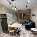 Kirayə (aylıq) 1 otaqlı Yeni Tikili, Nizami metrosu, Nəsimi rayonu 1