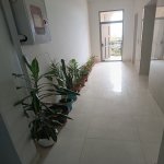 Аренда 3 комнатная Новостройка, пос. Байыл, Сябаиль район 16