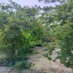 Satılır 6 otaqlı Həyət evi/villa, Mehdiabad, Abşeron rayonu 31
