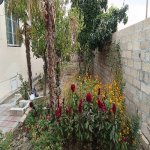 Satılır 4 otaqlı Həyət evi/villa Mingəçevir 9