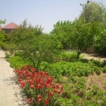 Kirayə (aylıq) 6 otaqlı Bağ evi, Fatmayi, Abşeron rayonu 30