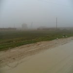 Satılır Torpaq, Güzdək, Abşeron rayonu 8
