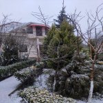 Satılır 6 otaqlı Həyət evi/villa, Mərdəkan, Xəzər rayonu 2