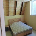 Kirayə (günlük) 3 otaqlı Bağ evi İsmayıllı 6